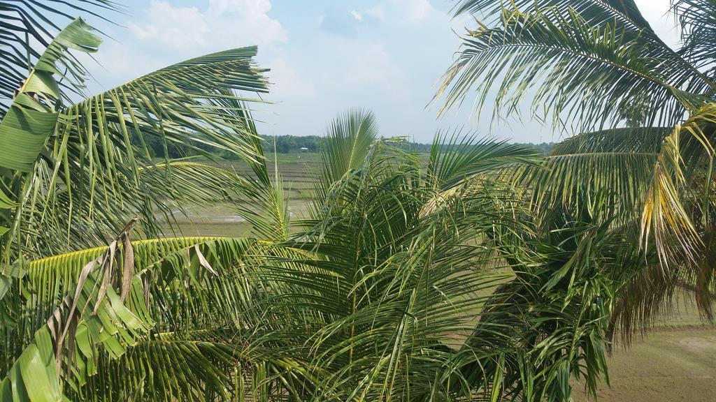 Serene View Tourist Rest Ξενοδοχείο Anuradhapura Εξωτερικό φωτογραφία